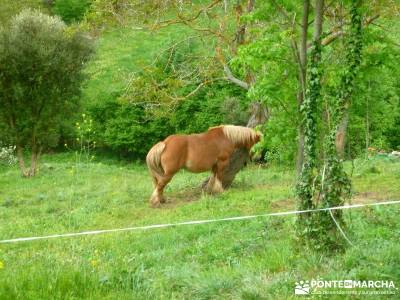 Ruta del Cares - Garganta Divina - Parque Nacional de los Picos de Europa;senderismo